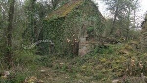 Скрины из соцсетей