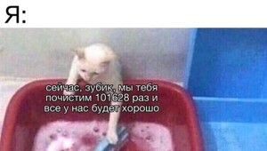 Весёлые картинки