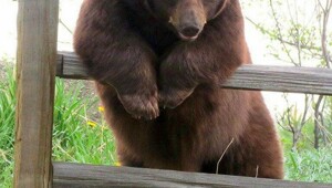 Просто гифки, всякие и&nbsp;разные