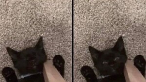 Смешные картинки