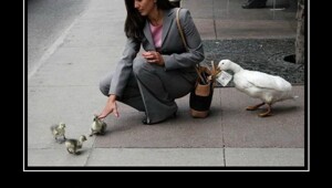 Демотиваторы, которые ударят позитивом