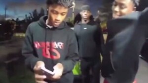 Женщина открыла огонь по парням, пытавшимся похитить щенков