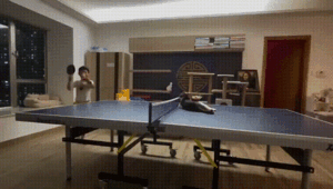 Просто гифки, всякие и&nbsp;разные