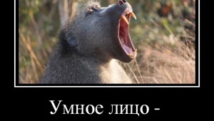 Демотиваторы заряженные позитивом