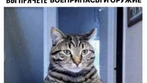 Смешные картинки