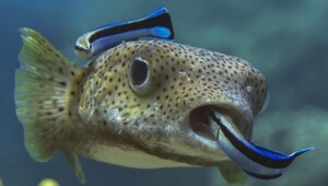 8 реальных фактов, которые всё равно хочется перепроверить