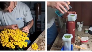 Неожиданное искусство