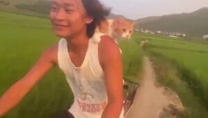 Навстречу приключениям