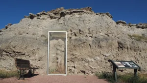 Чёртовы штопоры: тайна, которую миллионы лет скрывали недра Небраски