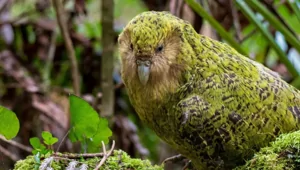 23 веских причины заново влюбиться в эту планету