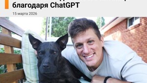 Австралийский айтишник, пытаясь спасти свою собаку, похоже, открыл новый способ лечить рак с помощью ChatGPT
