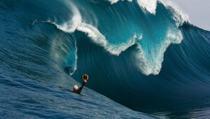 На общую тему&nbsp;