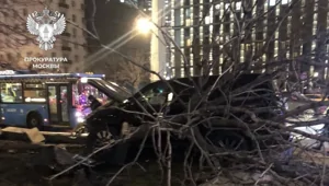 Водителя оштрафовали на 600 000 рублей за сломанный каштан