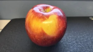 30 кадров, которые заставят вас протереть глаза