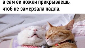 Смешные картинки