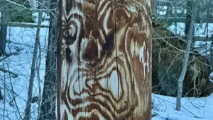 30 фото, запечатлевших маленькие чудеса обыденности и повседневности