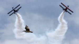 На общую тему&nbsp;