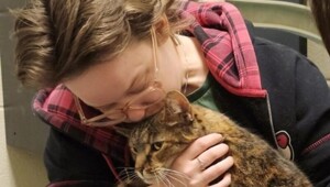 В США кот пропал и нашелся живым спустя 5 лет