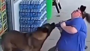 На женщину, идентифицирующую себя как собаку, напал  настоящий пёс