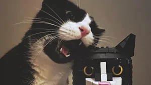 30 фотографий, на которых коты выглядят как герои артхаусного кино