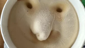 22 бытовых открытия, которые делают жизнь интереснее