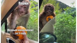 Не ищите здесь смысл. Здесь в основном маразм