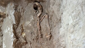 В Нидерландах обнаружили скелет д'Артаньяна