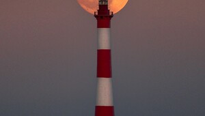 Всё вразнобой&nbsp;