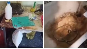 Угадайте, кто здесь живет?!