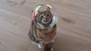 20+ моделей, фотогеничности которых можно только позавидовать