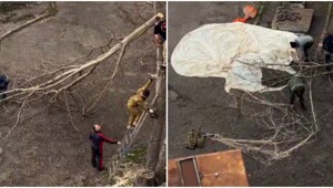 Обычные будни в Ессентуках