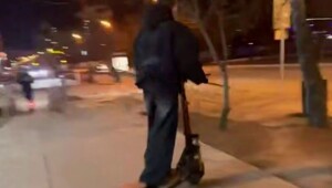 В центре Одинцово самокатчик зацепил поводок и протащил чихуахуа 10 метров