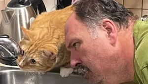 28 фотодоказательств того, что вселенная обладает превосходным чувством юмора