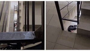 Неожиданный прыжок наркомана в подъезде