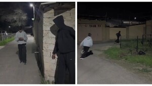 Мастер маскировки