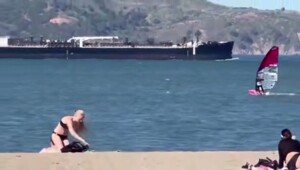 Виндсерфер врезался в кита в США