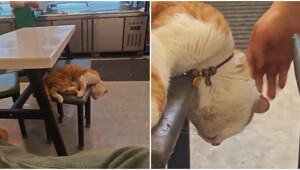 Максимальная забота о клиенте