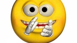 Скрины из соцсетей