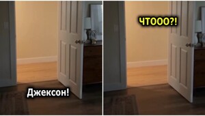 Джексон не хочет идти в комнату