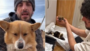 Астраханский фермер из Дагестана делится жизнью на ферме