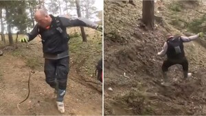 С такими друзьями врагов не нужно