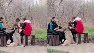 Локи нашёл себе мужскую компания