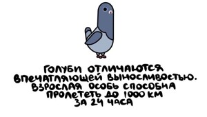 А вдруг ты не знал…