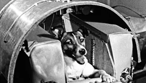 17 исторических кадров, которые вы могли пропустить