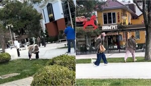 В Краснодарском крае женщина швырнула собачьи фекалии в хозяйку пса