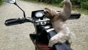 25 реальных жизненных моментов, которые невозможно выдумать