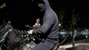 В Кисловодске осудили всадника, отхлеставшего пенсионеров плёткой