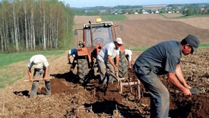Фермерам из ЮАР выделят землю во Владимирской области