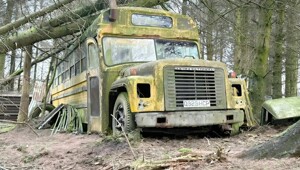 АвтоВсячина