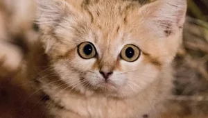 25 снимков природы, от которых перехватывает дыхание